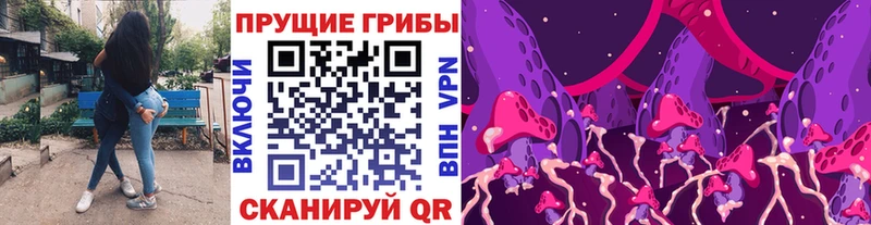 Галлюциногенные грибы Psilocybe  Переславль-Залесский 